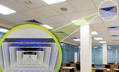 UV LED